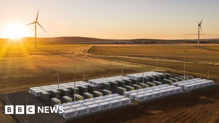 Tesla built worlds biggest battery under 100 days