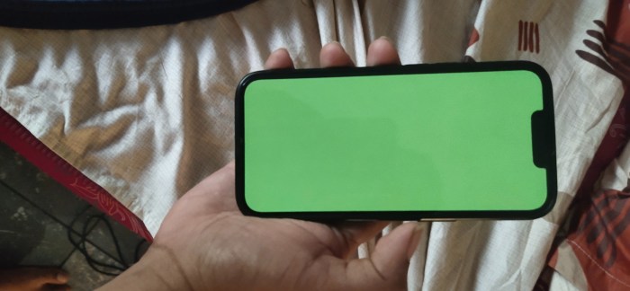 Iphone x green line on display issue